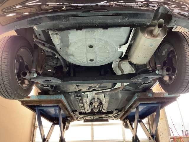 �����i�}�t���[���j�̂��ʐ^�ł����@�����̎K�~�߂Ƌ��ɁA�N�P��̎{�H�ڈ��̃}�t���[�h�K�Ŗ��N�����e�i���X����ƒ��������܂��i�O�n�O�j