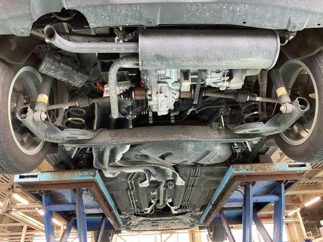 �����i�}�t���[���j�̂��ʐ^�ł����@�����̎K�~�߂Ƌ��ɁA�N�P��̎{�H�ڈ��̃}�t���[�h�K�Ŗ��N�����e�i���X����ƒ��������܂��i�O�n�O�j