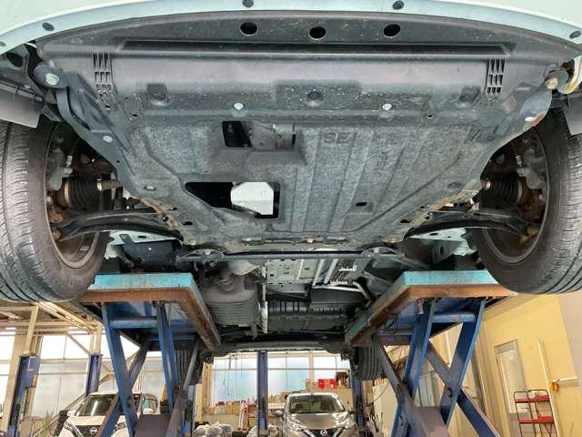 �����i�t�����g���j�̂��ʐ^�ł���