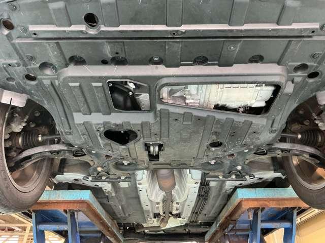 �����i�t�����g���j�̂��ʐ^�ł���