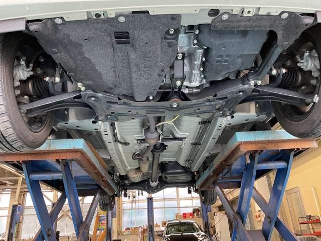 �����i�t�����g���j�̂��ʐ^�ł���