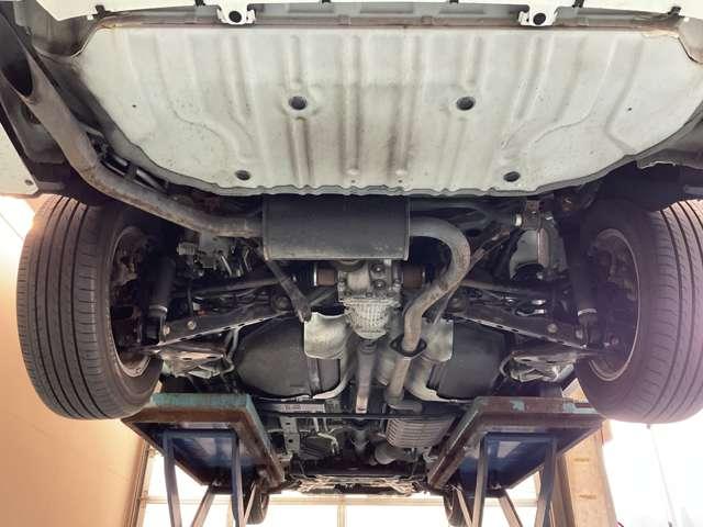 �����i�}�t���[���j�̂��ʐ^�ł����@�����̎K�~�߂Ƌ��ɁA�N�P��̎{�H�ڈ��̃}�t���[�h�K�Ŗ��N�����e�i���X����ƒ��������܂��i�O�n�O�j