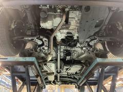 �����ʥե����¦�ˤΤ��̿��Ǥ��� 7