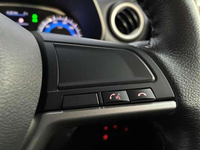 デイズ ６６０　ハイウェイスターＸ　純正ナビ／アラビューＭ（17枚目）