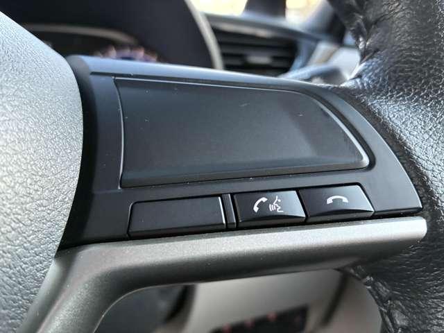 ルークス 660 X 4WD 日産純正ナビ/アラビューM(17枚目)