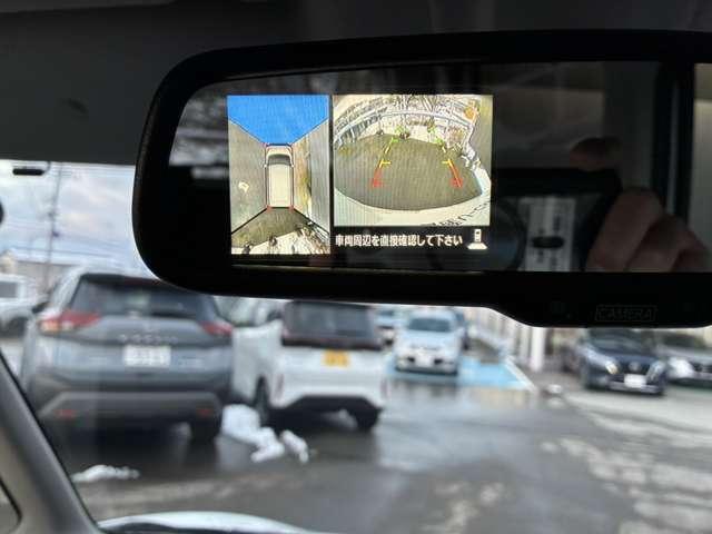 �R�U�O���^�ォ�猩���낵���f�����f���o�����A���E���h�r���[���j�^�[���ځ����S���S�ł��ˁ�