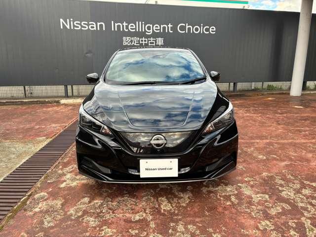 リーフ ｅ＋　Ｘ　プロパイロット　アラビュー　ＮＣナビ　寒冷地（2枚目）