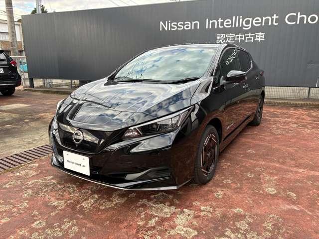 リーフ ｅ＋　Ｘ　プロパイロット　アラビュー　ＮＣナビ　寒冷地（3枚目）