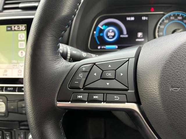 リーフ ｅ＋　Ｘ　プロパイロット　アラビュー　ＮＣナビ　寒冷地（14枚目）