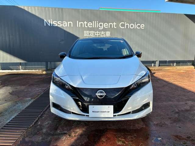 リーフ e+ X プロパイ アラビュー NCナビ ETC 寒冷地(2枚目)