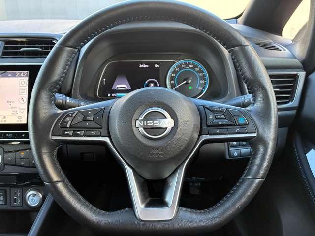 リーフ e+ X プロパイ アラビュー NCナビ ETC 寒冷地(14枚目)