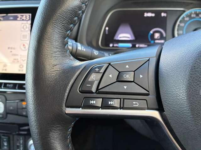 リーフ e+ X プロパイ アラビュー NCナビ ETC 寒冷地(15枚目)