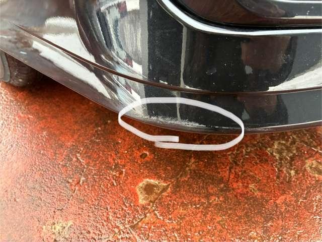 �^�]�ȑ��t�����g�o���p�[�ɕ����̔����������������܂��B