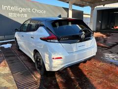 �ե���Ȥ����Ǥʤ����Хå����ʡ����դ��Ƥ�Τ���ֻ���Хå���������Ƥ���ޤ��ʡ��������� 7