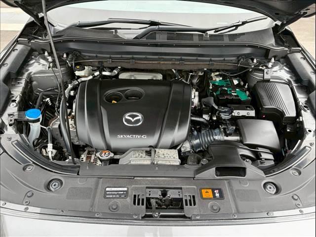 �y�G���W�����[���z�s��͂Ȃ��ǍD�ȏ�Ԃł��B�G���W�����[�������ꂢ�ɂ��Ă����Ɩ�����̃g���u�����ɓ_�����₷���Ȃ�̂ŁA�����납��̐��|�����X�X���ł��B