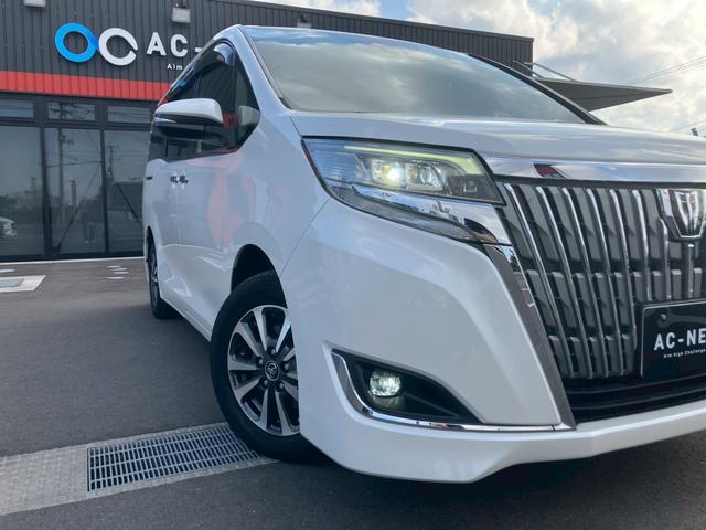 エスクァイア Ｇｉ　プレミアムパッケージ　純正１０インチナビ　純正１２．１インチフリップダウンモニター　フルセグＴＶ　バックカメラ　Ｂｌｕｅｔｏｏｔｈ　ハーフレザーシート　シートヒーター　ステアリングヒーター　クルーズコントロール　ＬＥＤ（32枚目）