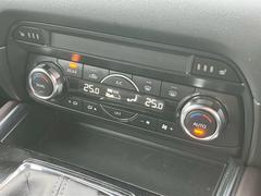 �ڥǥ奢�륪���ȥ�������۱�ž�ʤȽ����ʤΥ��������٤��̡����Ѥ�����Τǽ����ʤ˾�����ؤ���θ���Ǥ��������Ǥ��͢� 6