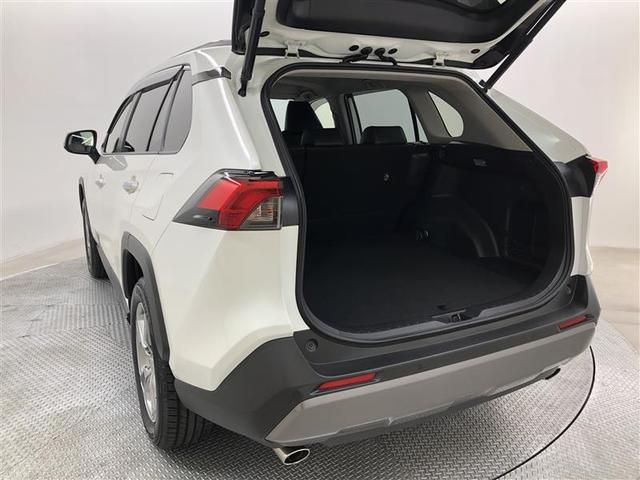 RAV4 G 4WD フルセグ メモリーナビ ミュージックプレイヤー接続可 バックカメラ 衝突被害軽減システム ETC ドラレコ LEDヘッドランプ ワンオーナー(10枚目)