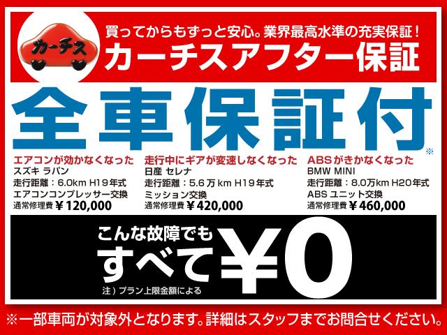 カラーパッケージ ツートンカラー ナビ Bカメラ クルコン(2枚目)