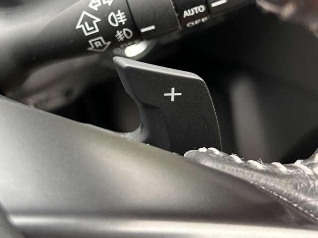 レヴォーグ １．６ＧＴアイサイト　Ｓスタイル　４ＷＤ　４ＷＤ／ワンオーナー／禁煙車／アイサイト３／アドバンスドセイフティパッケージ／アダブティブクルーズコントロール／純正ストラーダナビ／フルセグＴＶ／ＤＶＤ／Ｂｌｕｅｔｏｏｔｈ／バックカメラ／パワステ／（43枚目）