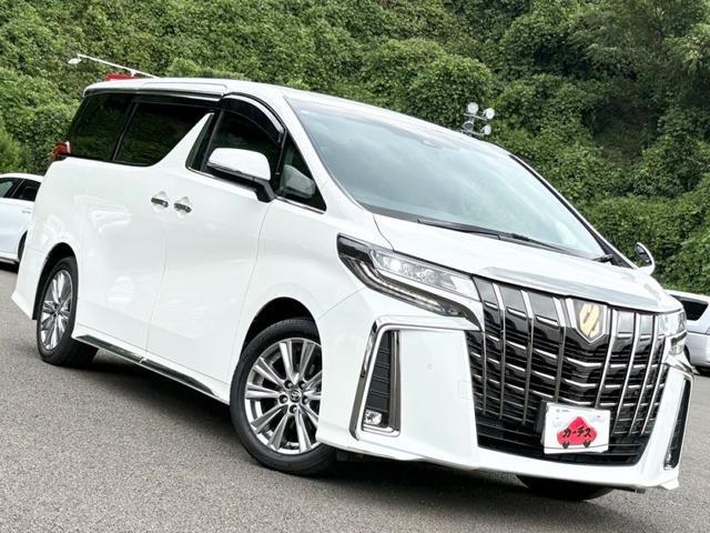 アルファード ２．５Ｓ　タイプゴールド　１オーナー！禁煙！衝突被害軽減ブレーキ！Ａクルーズコントロール！後席モニター！両側パワースライドドア！全方位カメラ！純正ナビ！ＢＴ！フルセグＴＶ！ＥＴＣ！オートライト！スマートキー＆プッシュスタート！（3枚目）