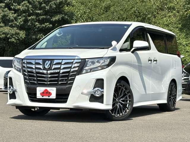 アルファード ２．５Ｓ　Ｃパッケージ　禁煙車！衝突被害軽減ブレーキ！Ａクルーズコントロール！サンルーフ！後席モニター！両側Ｐスライドドア！メモリーナビ！Ｂカメラ！ＢＴ！フルセグＴＶ！パワーシート！ＥＴＣ！スマートキー＆プッシュスタート！（61枚目）