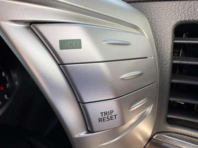 エルグランド ２５０ハイウェイスターＳ　ＮＩＳＳＡＮＣＯＭＭＥＣＴナビゲーションシステム／リアエンターテイメントシステムセット（31枚目）