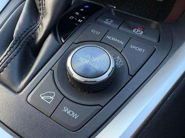 ＲＡＶ４ Ｇ　Ｚパッケージ　４ＷＤ　セーフティセンス！ブラインドスポットモニター！合皮シート！快適温熱シート！ハンドルヒーター！運転席パワーシート！純正ナビ＆フルセグＴＶ＆ＢＴ＆バックカメラ！デジタルインナーミラー！（44枚目）