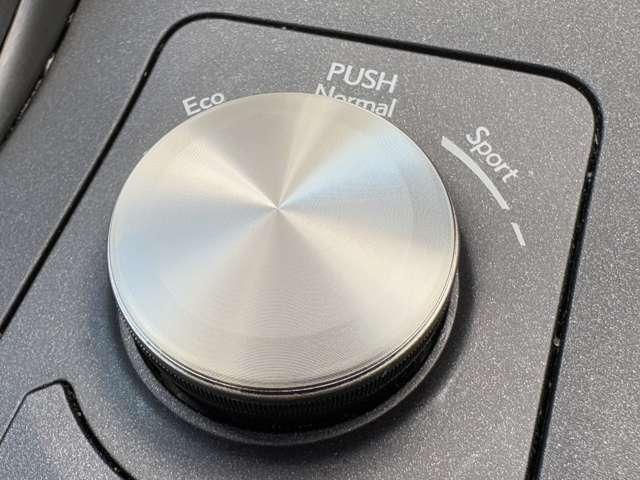 IS IS300 1オーナー/サンルーフ/3連LED/360度M/L-texシート/OPシートヒータ/セーフティシステム+/BSM/PSB/追従型クルコン/10.3インチナビ/プレミアムSS/Blu-ray対応/禁煙車(46枚目)