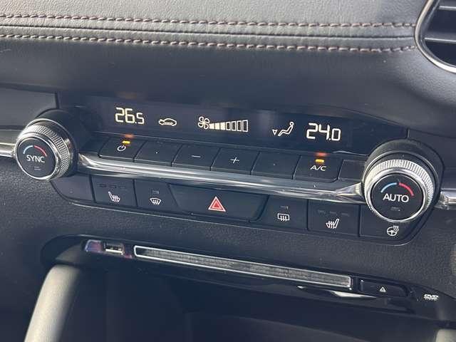 �r���g�C���d�s�b�ł��I