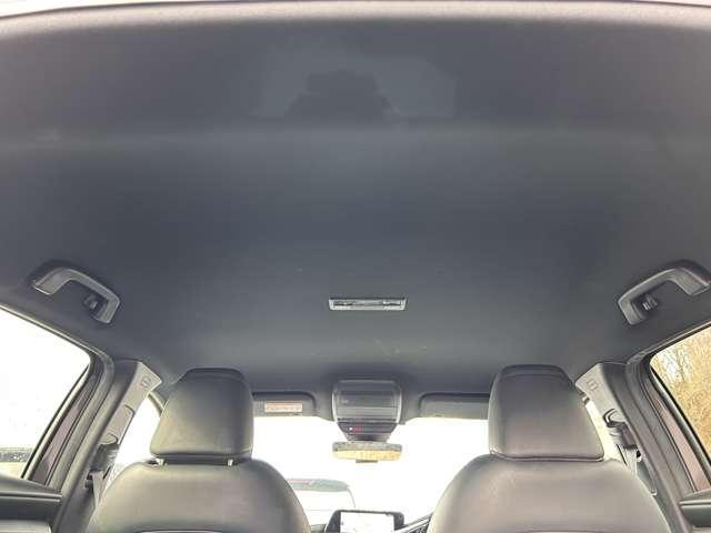 �u�h���C�u���R�[�_�[�v�@���̎���̕K���i�ł����