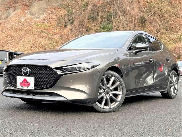 �S���o�C�p�X�����B����h�����������ɗ��n�B