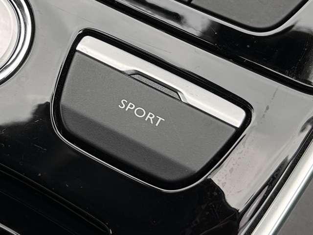 ３０８ アリュール（39枚目）