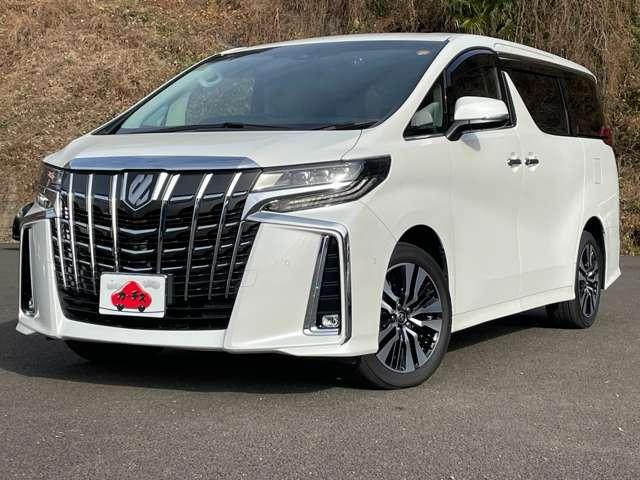 �S���o�C�p�X�����B����h�����������ɗ��n�B