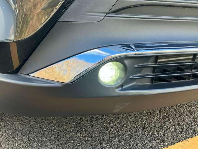 �u�t�H�O�����v�v�@���̒��ł̓w�b�h���C�g�ł͂Ȃ��A�R�`�����g���܂��傤��