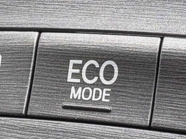 �u�G�R���[�h�v�R��̌�����T�|�[�g���Ă���܂���