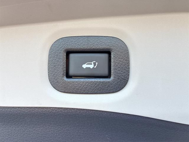 ���x�����͌����A�e�탍�[���A���[�X�ł̂��x����������܂��B�i�ő�P�Q�O��̒������[��������܂��j�܂��A���q�l�̂���]�ɉ��������x�����Ń��N���N���x�����I���Y�ԑΉ��̐V�Ԃɏ���@�J�[���[�X���D�]�ł�