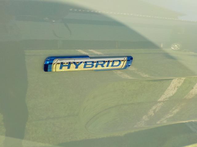 HYBRID X(5枚目)