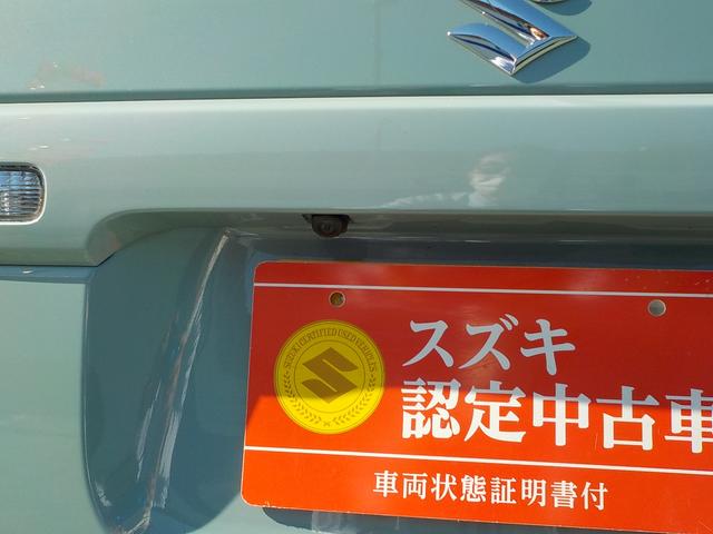 HYBRID X(12枚目)