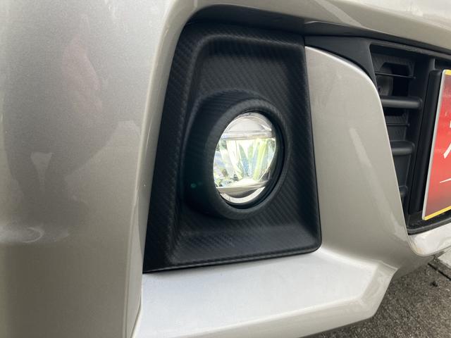 �w�b�h���C�g�ƃt�H�O�����v�͂k�d�c�o���u�ł��B