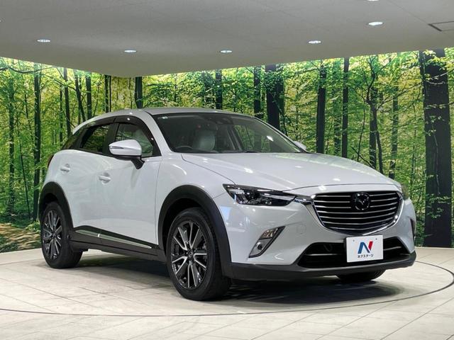 ＣＸ－３ ＸＤ　ツーリング　Ｌパッケージ　ターボ　ディーゼル　衝突軽減装置　マツダコネクトナビ　レーダークルーズ　バックカメラ　Ｂｌｕｅｔｏｏｔｈ　フルセグ　シートヒーター　ハーフレザーシート　ＬＥＤヘッド／フォグ　ブラインドスポットモニター（17枚目）