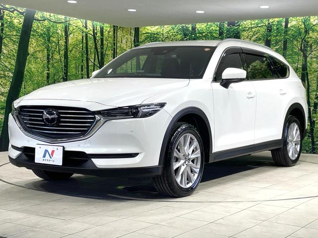 CX-8 XDプロアクティブ 禁煙車 マツダコネクトナビ 衝突被害軽減装置 全周囲カメラ レーダークルコン クリアランスソナー 前席シートヒーター レーンアシスト ETC ドラレコ 電動リアゲート ルーフレール スマートキー(64枚目)