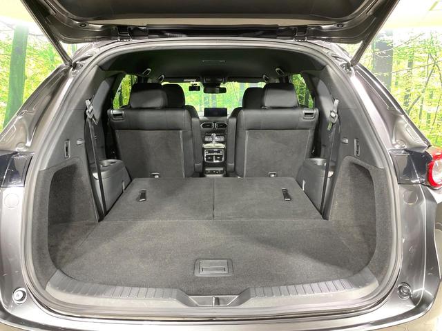 ＣＸ－８ ２５Ｓ　プロアクティブ　コネクトナビ　全方位カメラ　衝突軽減装置　シートメモリ　ステアリングヒーター　ブラインドスポットモニター　ドラレコ　ＥＴＣ　シートヒーター　ＬＥＤヘッド　電動リアゲート　車線逸脱警報　スマートキー（11枚目）