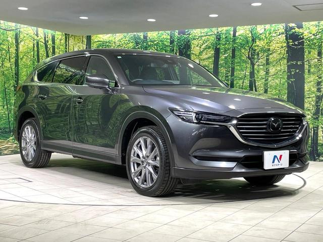 ＣＸ－８ ２５Ｓ　プロアクティブ　コネクトナビ　全方位カメラ　衝突軽減装置　シートメモリ　ステアリングヒーター　ブラインドスポットモニター　ドラレコ　ＥＴＣ　シートヒーター　ＬＥＤヘッド　電動リアゲート　車線逸脱警報　スマートキー（17枚目）