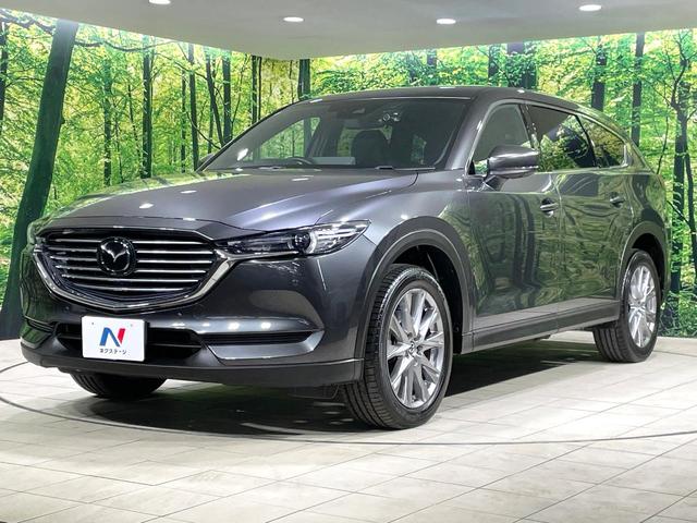 ＣＸ－８ ２５Ｓ　プロアクティブ　コネクトナビ　全方位カメラ　衝突軽減装置　シートメモリ　ステアリングヒーター　ブラインドスポットモニター　ドラレコ　ＥＴＣ　シートヒーター　ＬＥＤヘッド　電動リアゲート　車線逸脱警報　スマートキー（25枚目）