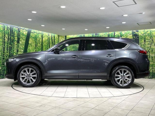 ＣＸ－８ ２５Ｓ　プロアクティブ　コネクトナビ　全方位カメラ　衝突軽減装置　シートメモリ　ステアリングヒーター　ブラインドスポットモニター　ドラレコ　ＥＴＣ　シートヒーター　ＬＥＤヘッド　電動リアゲート　車線逸脱警報　スマートキー（27枚目）