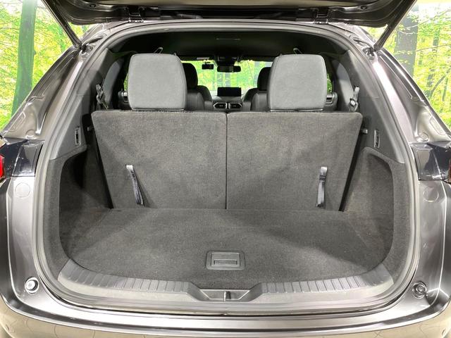 ＣＸ－８ ２５Ｓ　プロアクティブ　コネクトナビ　全方位カメラ　衝突軽減装置　シートメモリ　ステアリングヒーター　ブラインドスポットモニター　ドラレコ　ＥＴＣ　シートヒーター　ＬＥＤヘッド　電動リアゲート　車線逸脱警報　スマートキー（41枚目）