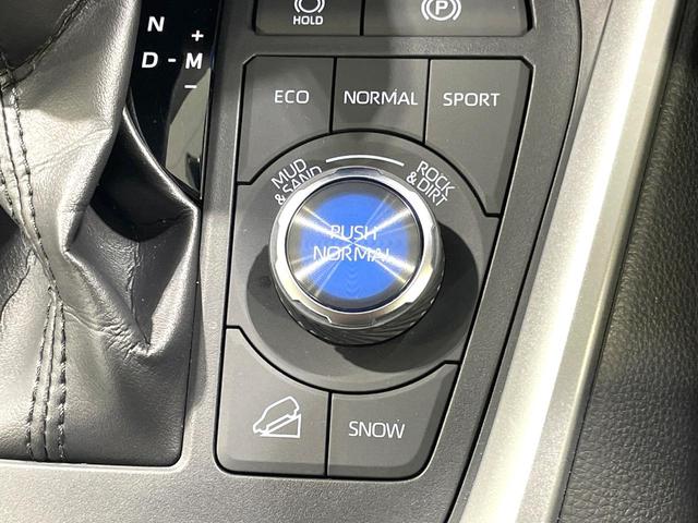 RAV4 G Zパッケージ 4WD モデリスタエアロ パノラマルーフ 10型ディスプレイ デジタルインナーミラー ベンチレーション ETC ドラレコ LEDヘッド オートマチックハイビーム 電動リアゲート ルーフレール(54枚目)