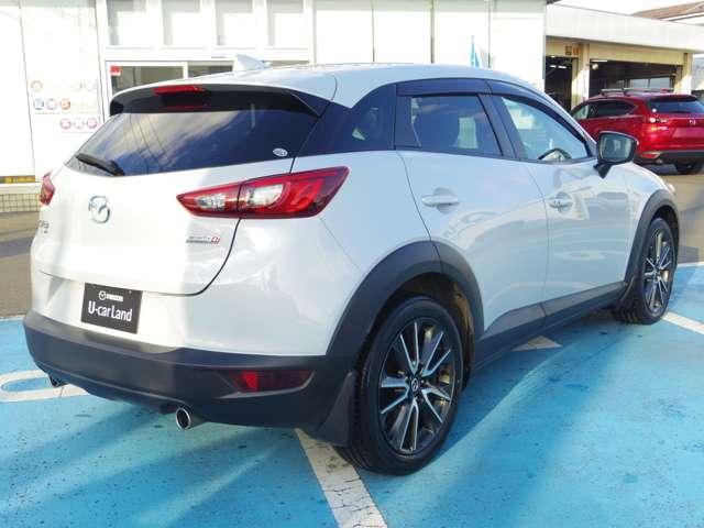 XD TRG AWD (2枚目)