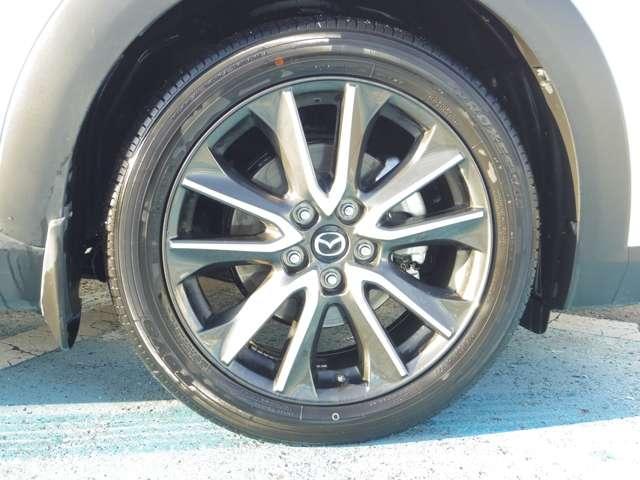 XD TRG AWD (15枚目)